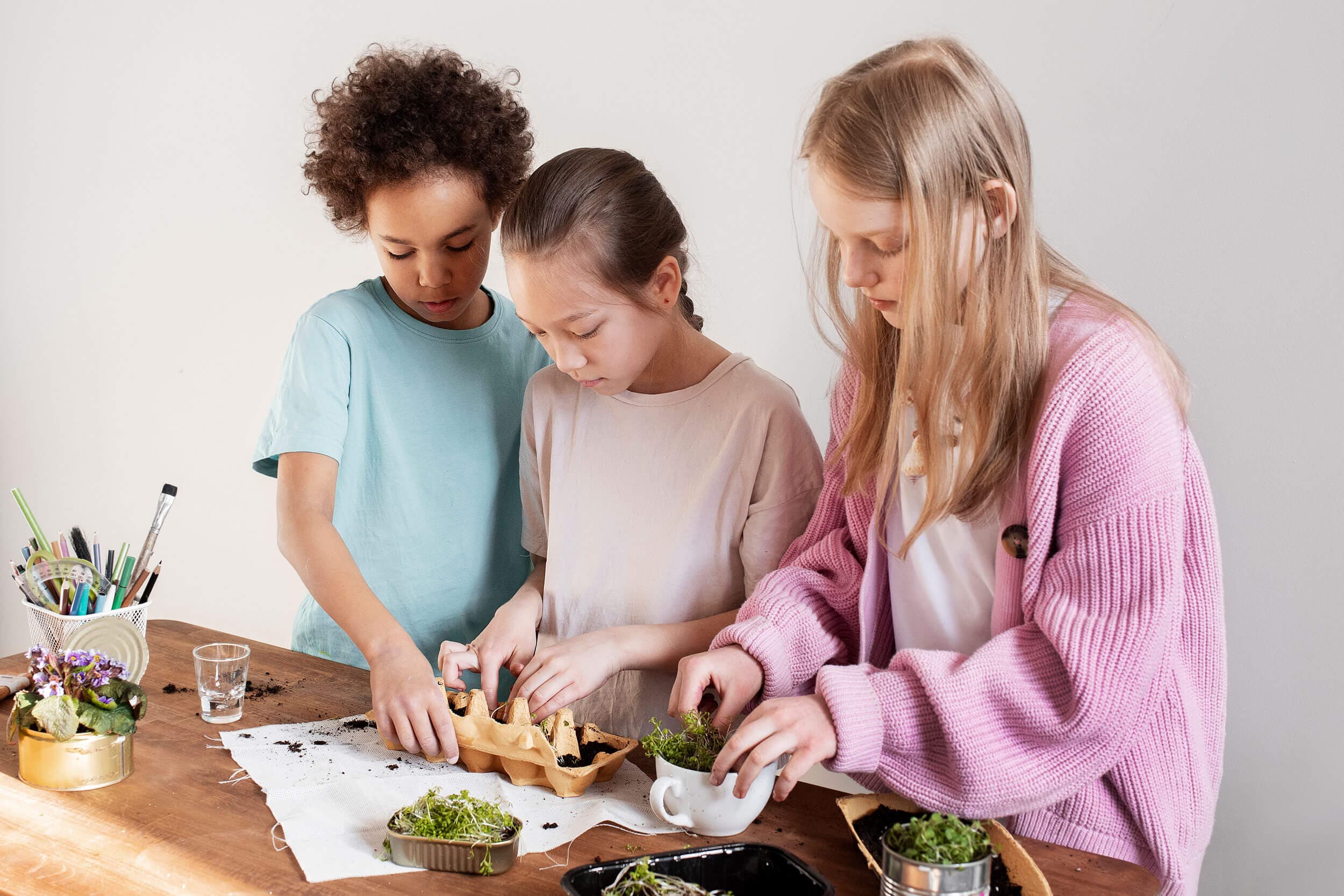 Three older children planting seedlings into an egg carton at a wooden table