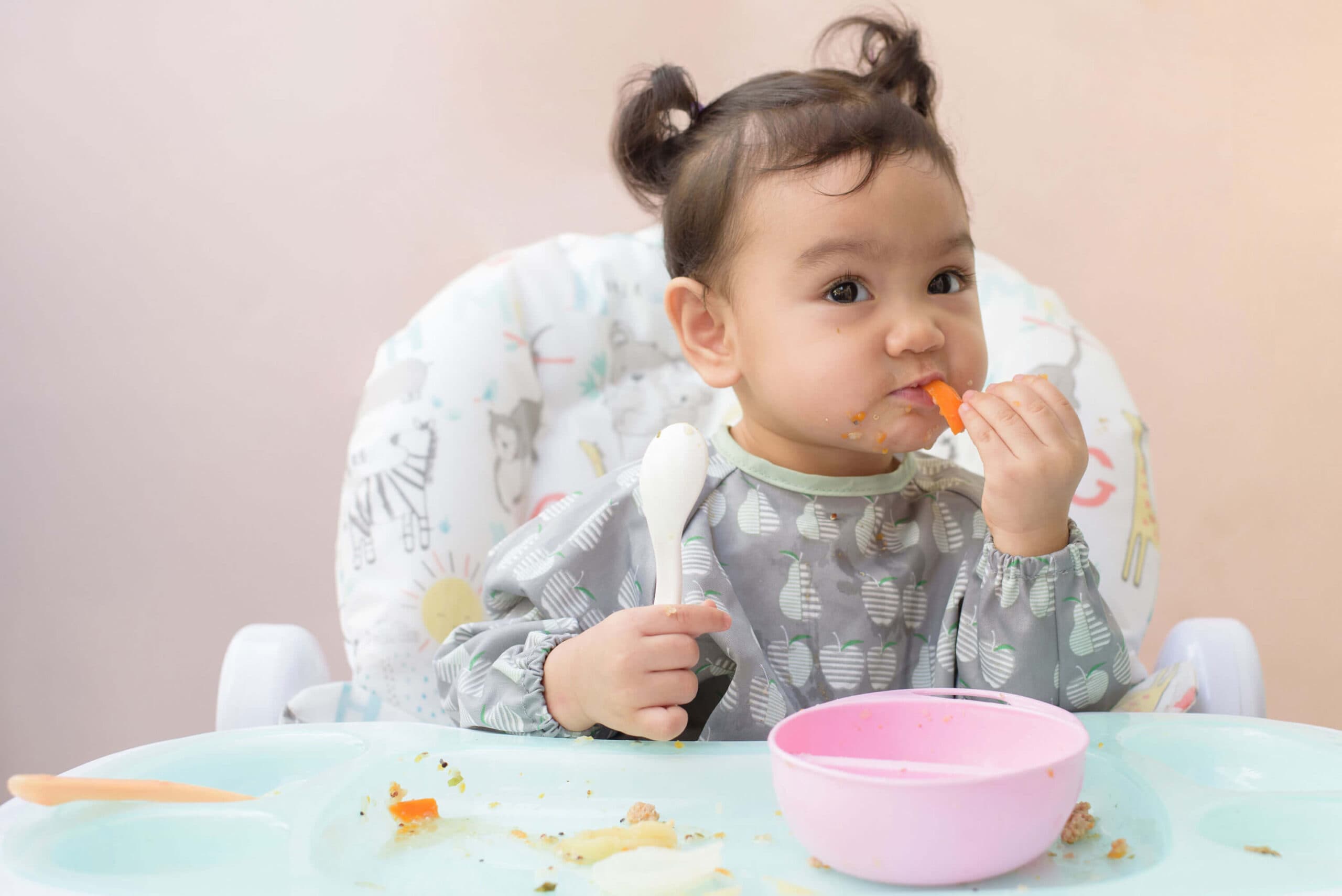A toddler in a bib sitting in a high chair, feeding herself a piece of carrot while holding a spoon